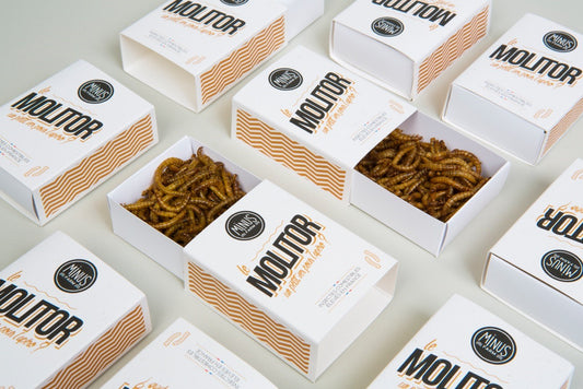 Le molitor